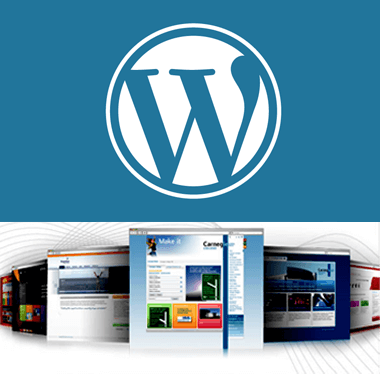 SynapseCo WordPress Development Services