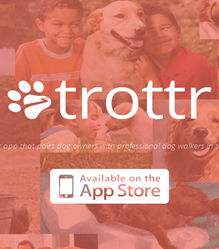 Peer-To-Peer Dog Walking App