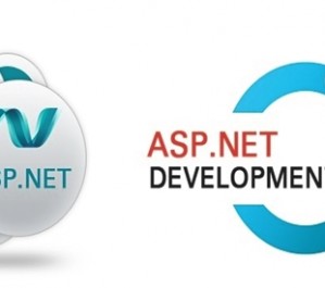 ASP.NET development company