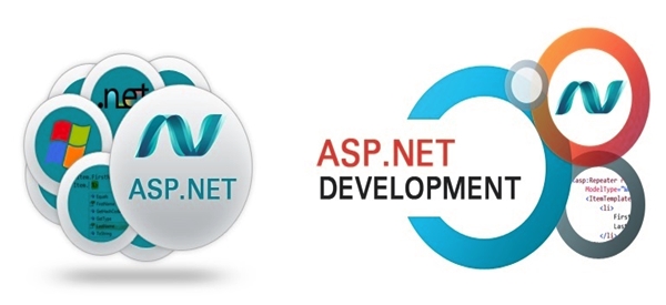 ASP.NET development company