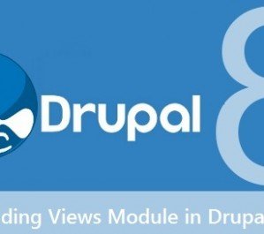 Drupal Web Development