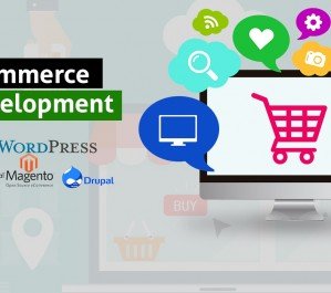 Ecommerce Web Development