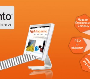 Magento-Development-Services