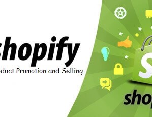 Custom Shopify Channels