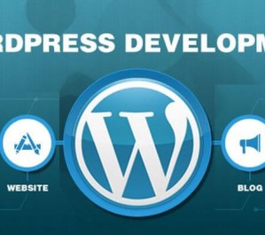 WordPress-Development