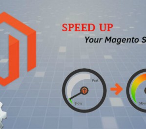 Magento-Store-Optimization