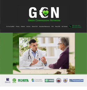 SynapseCo Portfolio - WordPress Website Design & Development for Medical Industry in USA - GCN