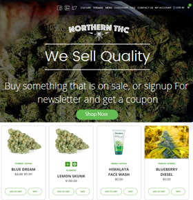 SynapseCo Portfolio - nopCommerce Store Development for Healthcare Industry, USA – Northern THC